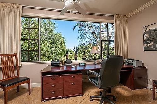 light filled home office